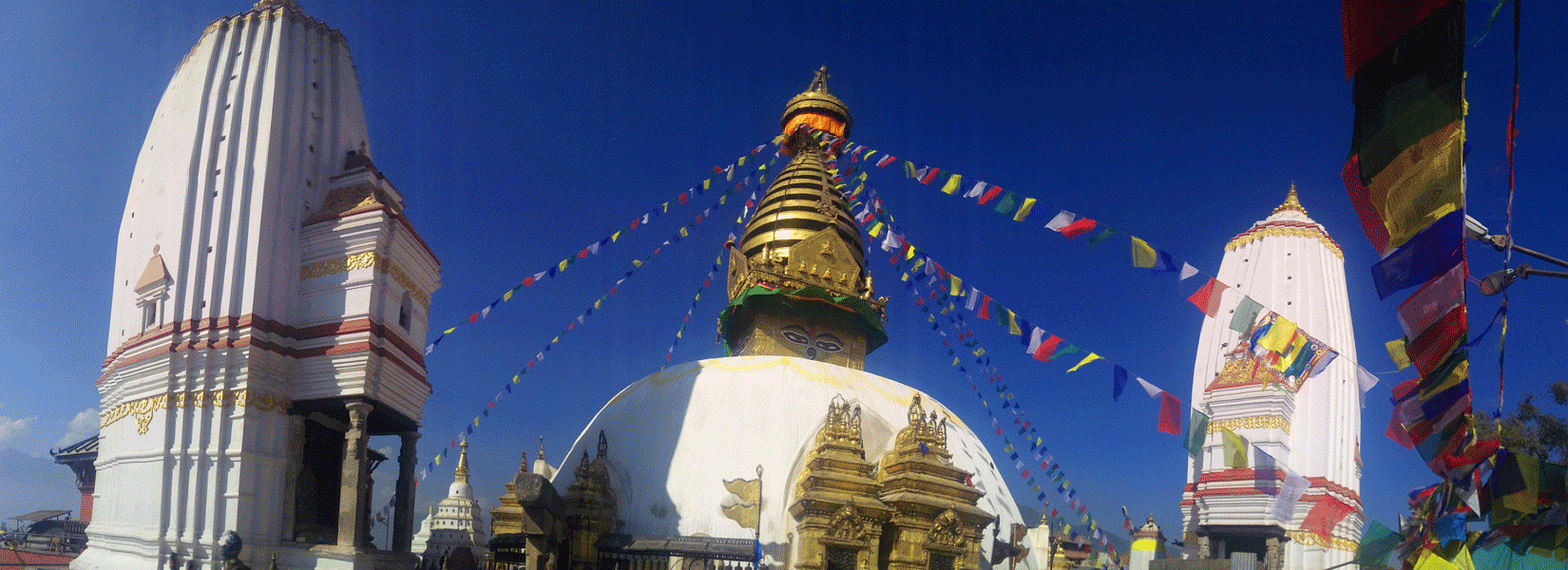 Day Tour in Nepal