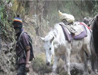 Trekking in Nepal, Himalayan Lifestyle