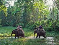 Jungle Safari Chitwan