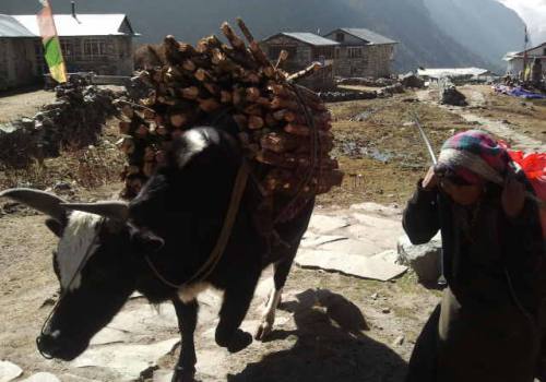 Langtang Valley Trek 